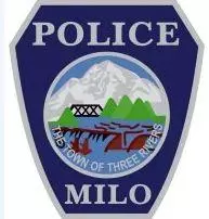 police badge